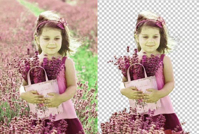 Online Background Removal Tools Reviews